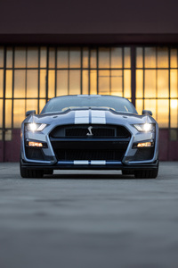Ford Mustang Shelby Gt500 Heritage Edition (1080x2280) Resolution Wallpaper