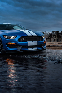 Ford Mustang Shelby Gt500 River