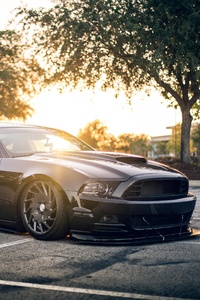 Ford Mustang Shellby Black