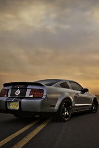 480x800 Ford Mustang Silver