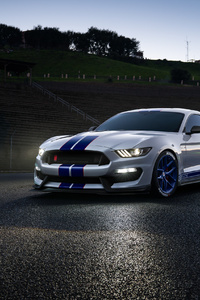 Ford Shelby GT350 4k (480x854) Resolution Wallpaper