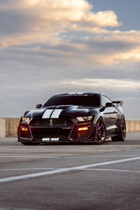 640x960 Ford Shelby Gt500 5k