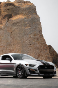 Ford Shelby Squad (640x960) Resolution Wallpaper