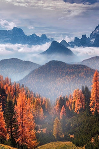 Forest Landscape Clouds 4k (640x1136) Resolution Wallpaper