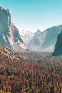 Forest Mountain Yosemite Valley 5k (1440x2560) Resolution Wallpaper