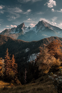 Forest Mountains (1280x2120) Resolution Wallpaper