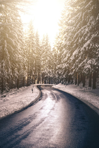 480x800 Forest Nature Road Snow Tree Winter 5k