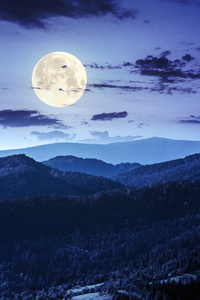 Forest Night Moon Clouds 4k (480x854) Resolution Wallpaper