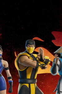 Fortnite Lawless Kitana X Scorpion Raiden Outfit (2160x3840) Resolution Wallpaper