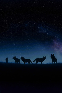 Fox Under Starry Veil (1280x2120) Resolution Wallpaper