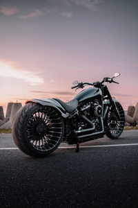Freedom Of Harley Davidson (1080x2280) Resolution Wallpaper