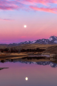 Full Moon Reflection Of The Moon Pink Sky 4k (480x854) Resolution Wallpaper