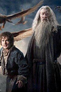 Gandalf Bilbo In Hobbit 3 (2160x3840) Resolution Wallpaper