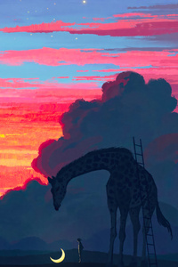 Giraffe Under The Moonlight (720x1280) Resolution Wallpaper