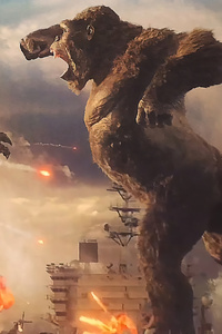 480x800 Godzilla Vs King Kong
