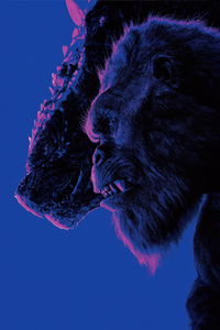 Godzilla X Kong The New Empire 2024 (480x854) Resolution Wallpaper