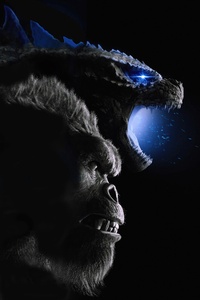 Godzilla X Kong The New Empire 8k Poster (540x960) Resolution Wallpaper