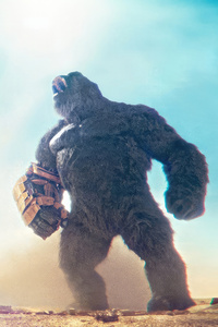 Godzilla X Kong The New Empire Magazine (320x480) Resolution Wallpaper