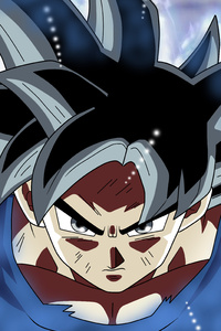 Goku Dragon Ball Super Anime 5k