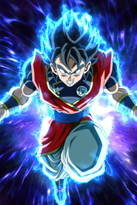 Goku Full Mode (1080x2160) Resolution Wallpaper