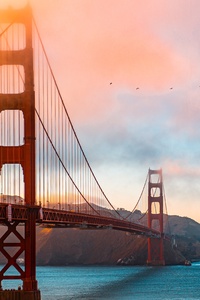 Golden Gate Bridge Morning 5k (1080x2160) Resolution Wallpaper