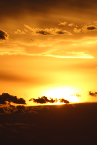 Golden Glow At Dusk (1080x1920) Resolution Wallpaper