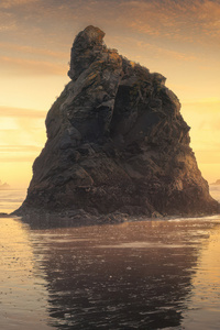 Golden Glow At Ruby Beach Washington Usa (750x1334) Resolution Wallpaper