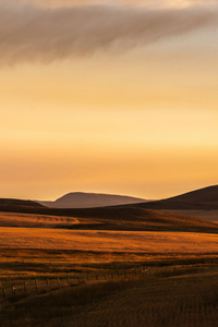 Golden Grassland Sunset Panorama (1080x1920) Resolution Wallpaper