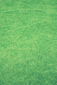 Grass Abstract Background 4k (1280x2120) Resolution Wallpaper