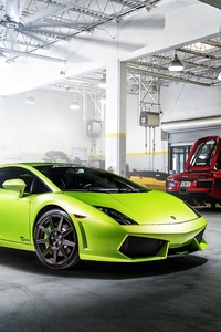 Green Lamborghini Gallardo (640x1136) Resolution Wallpaper