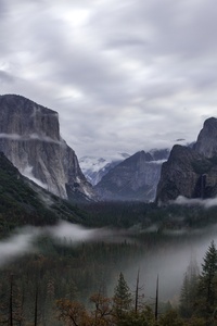 Grey Yosemite Valley (1080x2160) Resolution Wallpaper