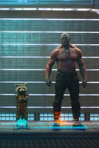 Guardians Of The Galaxy Team (360x640) Resolution Wallpaper