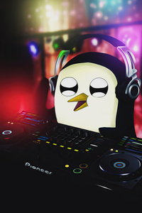 Gunter Playing Dj (320x568) Resolution Wallpaper