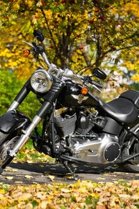 1280x2120 Harley Davidson Motorcycle 2