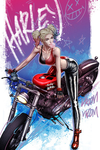 Harley Quinn Vroom Vroom