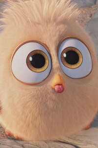 Hatchling In The Angry Birds Movie