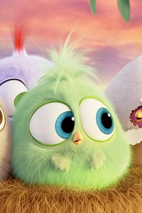 Hatchlings Angry Birds (640x1136) Resolution Wallpaper