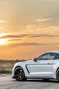 Hennessey Shelby GT350R HPE850 Supercharged Rear (640x1136) Resolution Wallpaper