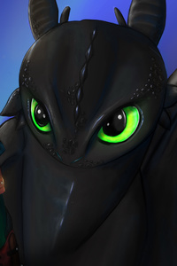 Hiccup And Toothless Digital Art New