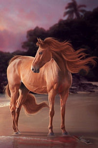 Horse On Beach Artwork (1125x2436) Resolution Wallpaper