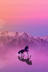 Horse Photo Manipulation (640x960) Resolution Wallpaper