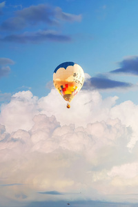 1080x1920 Hot Air Balloon Wonders In Nature