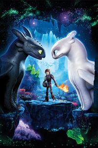 How To Train Your Dragon The Hidden World 10k (1080x2160) Resolution Wallpaper