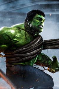 Hulk Vs Groot (1080x1920) Resolution Wallpaper