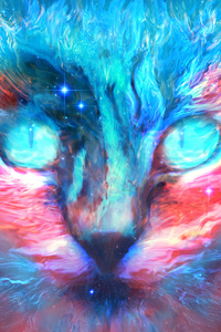 Into Dreams Cat (750x1334) Resolution Wallpaper