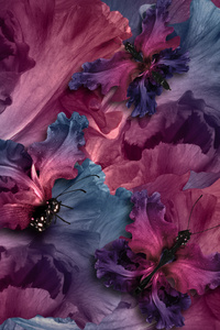 Irises Butterflies (2160x3840) Resolution Wallpaper