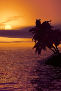 Island Palm Sunset Sky (640x960) Resolution Wallpaper