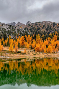 Italy Mountains Autumn Lake 5k (320x568) Resolution Wallpaper
