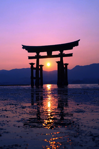 Japan Sunset Purple Evening 4k