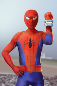 Japanese Spiderman (1080x2280) Resolution Wallpaper
